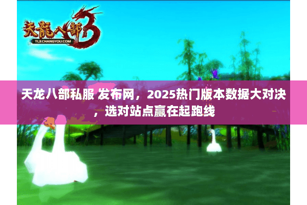 天龙八部私服 发布网，2025热门版本数据大对决，选对站点赢在起跑线