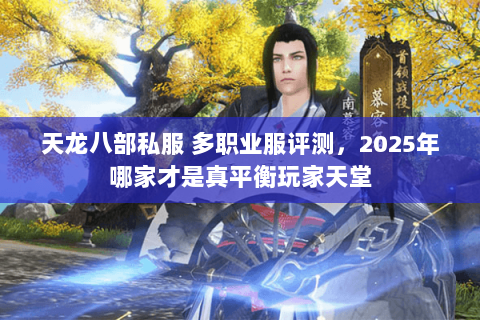 天龙八部私服 多职业服评测,2025年哪家才是真平衡玩家天堂 天龙八部私服 多职业服评测,2025年哪家才是真平衡玩家天堂