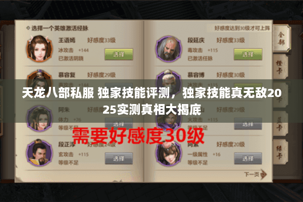 天龙八部私服 独家技能评测，独家技能真无敌2025实测真相大揭底