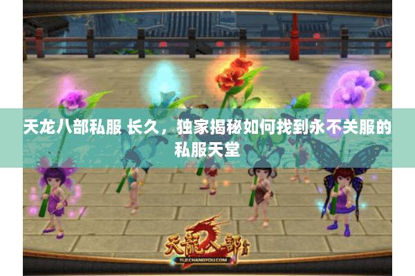 天龙八部私服 长久,独家揭秘如何找到永不关服的私服天堂 天龙八部私服 长久,独家揭秘如何找到永不关服的私服天堂