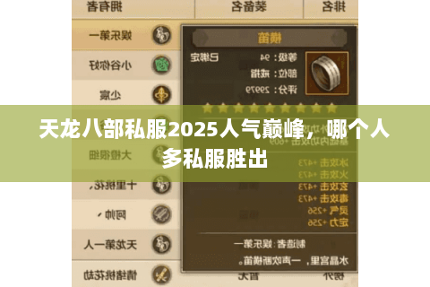 天龙八部私服2025人气巅峰，哪个人多私服胜出
