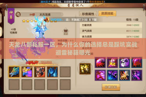 天龙八部私服一区，为什么你的选择总是踩坑实战避雷秘籍曝光