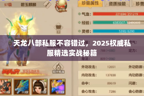 天龙八部私服不容错过,2025权威私服精选实战秘籍 天龙八部私服不容错过,2025权威私服精选实战秘籍