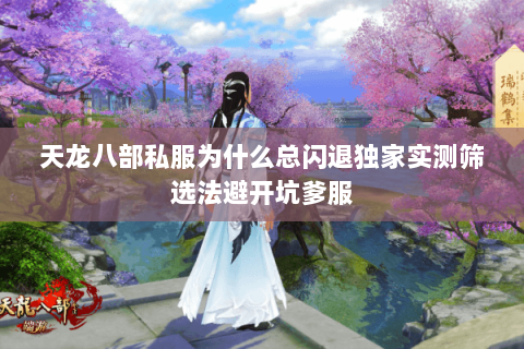天龙八部私服为什么总闪退独家实测筛选法避开坑爹服 天龙八部私服为什么总闪退独家实测筛选法避开坑爹服