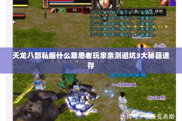 天龙八部私服什么意思老玩家亲测避坑3大秘籍速存 天龙八部私服什么意思老玩家亲测避坑3大秘籍速存