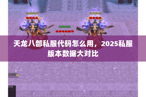 天龙八部私服代码怎么用,2025私服版本数据大对比 天龙八部私服代码怎么用,2025私服版本数据大对比