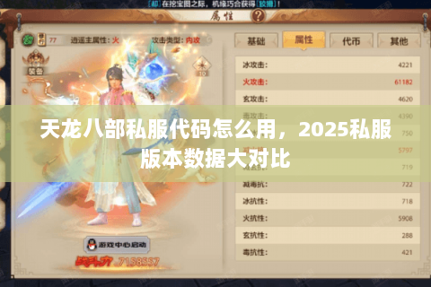 天龙八部私服代码怎么用,2025私服版本数据大对比 天龙八部私服代码怎么用,2025私服版本数据大对比