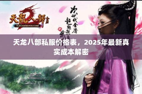 天龙八部私服价格表,2025年最新真实成本解密 天龙八部私服价格表,2025年最新真实成本解密