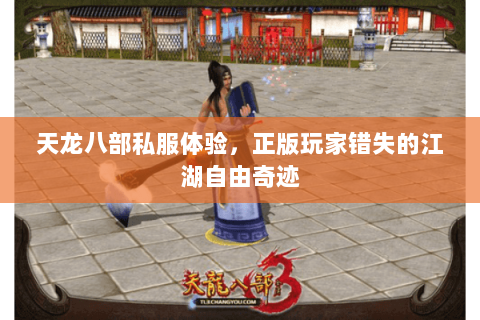 天龙八部私服体验,正版玩家错失的江湖自由奇迹 天龙八部私服体验,正版玩家错失的江湖自由奇迹