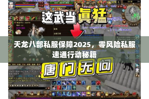 天龙八部私服保障2025，零风险私服速通行动秘籍