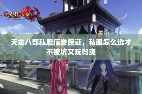 天龙八部私服信誉保证，私服怎么选才不被坑又玩得爽
