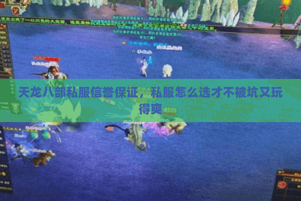 天龙八部私服信誉保证，私服怎么选才不被坑又玩得爽