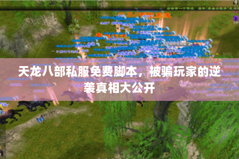 天龙八部私服免费脚本,被骗玩家的逆袭真相大公开 天龙八部私服免费脚本,被骗玩家的逆袭真相大公开