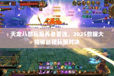 天龙八部私服养老首选，2025数据大揭秘最稳私服对决