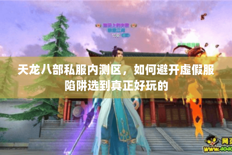 天龙八部私服内测区，如何避开虚假服陷阱选到真正好玩的