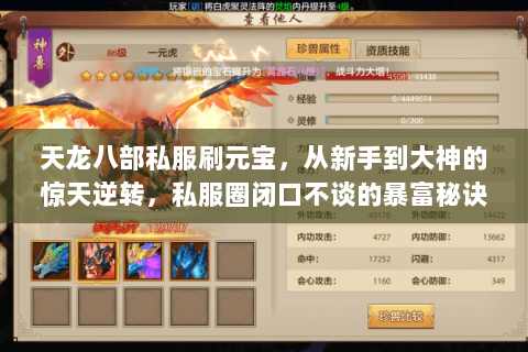 天龙八部私服刷元宝,从新手到大神的惊天逆转,私服圈闭口不谈的暴富秘诀 天龙八部私服刷元宝,从新手到大神的惊天逆转,私服圈闭口不谈的暴富秘诀