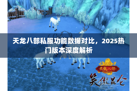 天龙八部私服功能数据对比，2025热门版本深度解析
