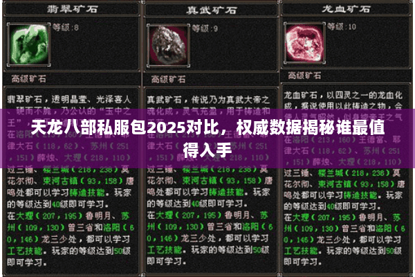天龙八部私服包2025对比,权威数据揭秘谁最值得入手 天龙八部私服包2025对比,权威数据揭秘谁最值得入手