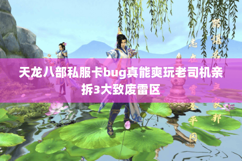 天龙八部私服卡bug真能爽玩老司机亲拆3大致废雷区 天龙八部私服卡bug真能爽玩老司机亲拆3大致废雷区