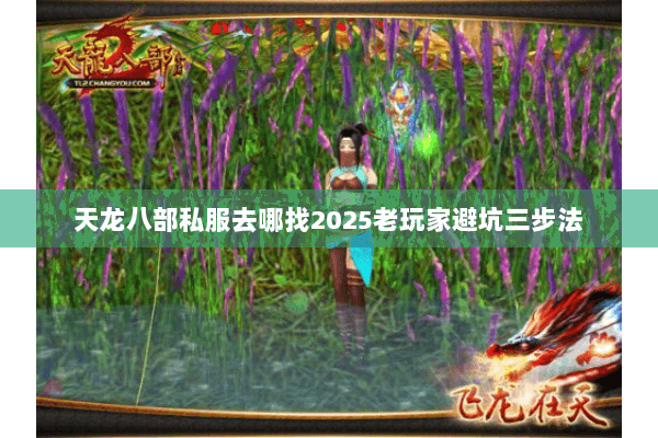 天龙八部私服去哪找2025老玩家避坑三步法 天龙八部私服去哪找2025老玩家避坑三步法