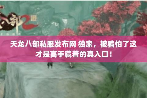 天龙八部私服发布网 独家，被骗怕了这才是高手藏着的真入口！