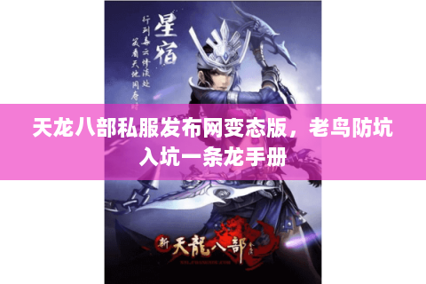 天龙八部私服发布网变态版，老鸟防坑入坑一条龙手册