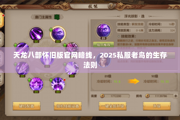 天龙八部怀旧版官网暗线，2025私服老鸟的生存法则