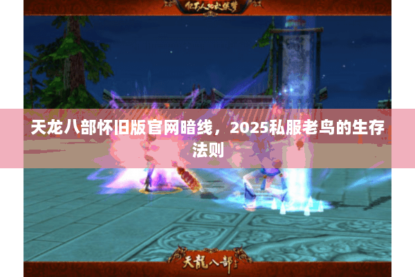 天龙八部怀旧版官网暗线，2025私服老鸟的生存法则