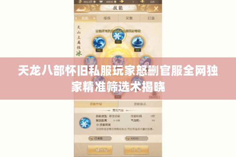 天龙八部怀旧私服玩家怒删官服全网独家精准筛选术揭晓 天龙八部怀旧私服玩家怒删官服全网独家精准筛选术揭晓