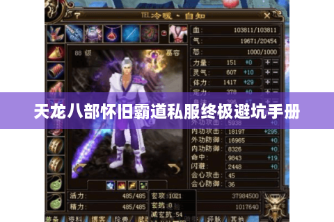 天龙八部怀旧霸道私服终极避坑手册 天龙八部怀旧霸道私服终极避坑手册