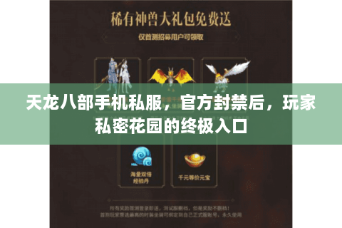 天龙八部手机私服,官方封禁后,玩家私密花园的终极入口 天龙八部手机私服,官方封禁后,玩家私密花园的终极入口