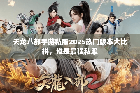 天龙八部手游私服2025热门版本大比拼，谁是最强私服
