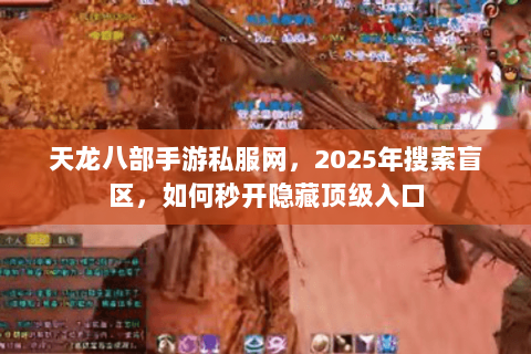 天龙八部手游私服网，2025年搜索盲区，如何秒开隐藏顶级入口