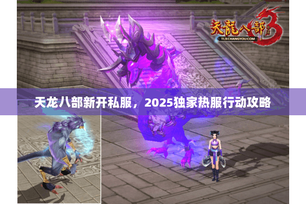 天龙八部新开私服,2025独家热服行动攻略 天龙八部新开私服,2025独家热服行动攻略