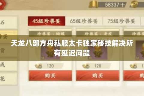 天龙八部方舟私服太卡独家秘技解决所有延迟问题 天龙八部方舟私服太卡独家秘技解决所有延迟问题