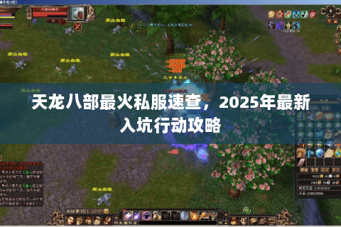 天龙八部最火私服速查,2025年最新入坑行动攻略 天龙八部最火私服速查,2025年最新入坑行动攻略