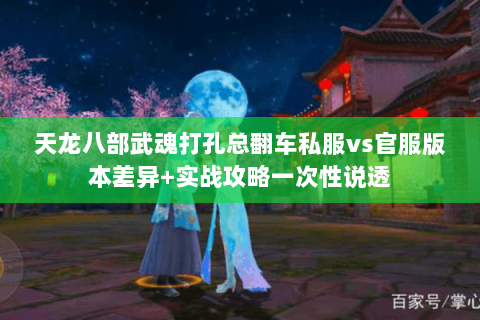天龙八部武魂打孔总翻车私服vs官服版本差异+实战攻略一次性说透