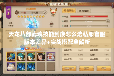 天龙八部武魂技能到底怎么选私服官服版本差异+实战搭配全解析