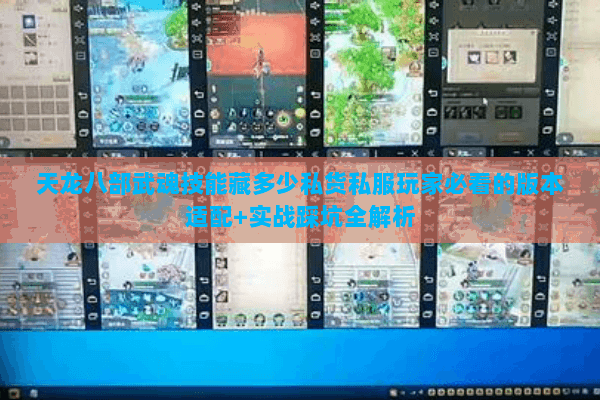 天龙八部武魂技能藏多少私货私服玩家必看的版本适配+实战踩坑全解析