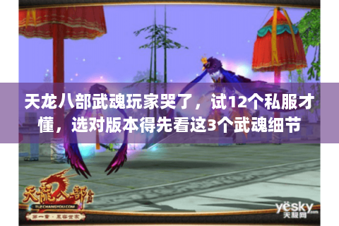 天龙八部武魂玩家哭了，试12个私服才懂，选对版本得先看这3个武魂细节