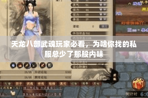 天龙八部武魂玩家必看，为啥你找的私服总少了那股内味