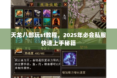 天龙八部玩sf教程,2025年必会私服快速上手秘籍 天龙八部玩sf教程,2025年必会私服快速上手秘籍
