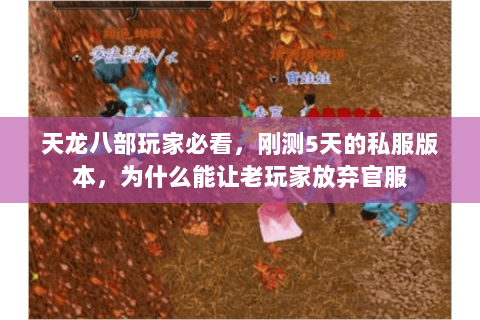 天龙八部玩家必看，刚测5天的私服版本，为什么能让老玩家放弃官服