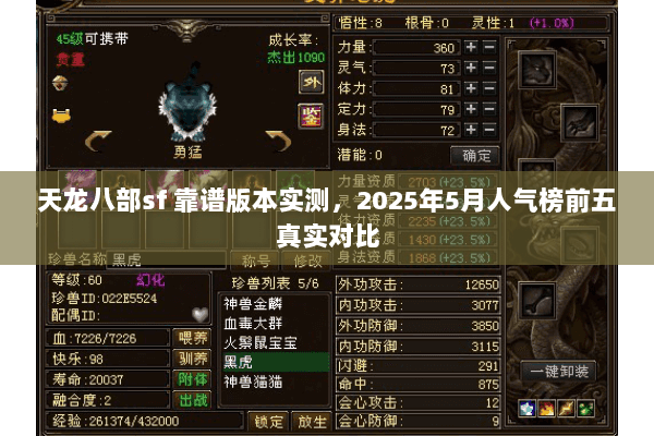天龙八部sf 靠谱版本实测,2025年5月人气榜前五真实对比 天龙八部sf 靠谱版本实测,2025年5月人气榜前五真实对比