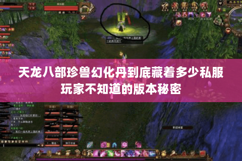 天龙八部珍兽幻化丹到底藏着多少私服玩家不知道的版本秘密