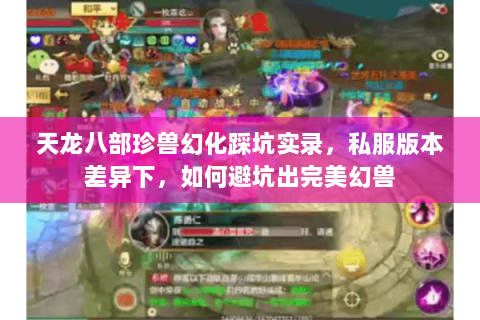 天龙八部珍兽幻化踩坑实录，私服版本差异下，如何避坑出完美幻兽