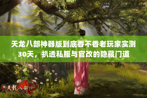天龙八部神器版到底香不香老玩家实测30天,扒透私服与官改的隐藏门道 天龙八部神器版到底香不香老玩家实测30天,扒透私服与官改的隐藏门道