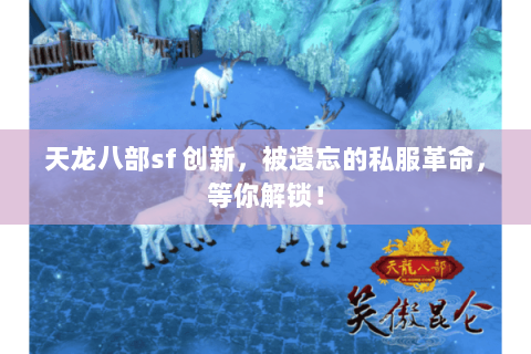 天龙八部sf 创新,被遗忘的私服革命,等你解锁! 天龙八部sf 创新,被遗忘的私服革命,等你解锁!