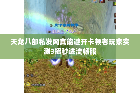 天龙八部私发网真能避开卡顿老玩家实测3招秒进流畅服
