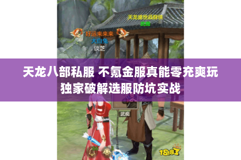 天龙八部私服 不氪金服真能零充爽玩独家破解选服防坑实战 天龙八部私服 不氪金服真能零充爽玩独家破解选服防坑实战